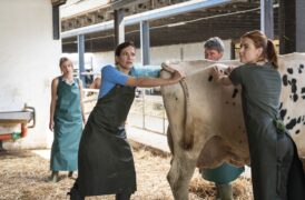 Zwei Frauen für alle Felle Väter und Töchter TV Fernsehen Das Erste ARD Streamen online Mediathek Video on Demand DVD kaufen