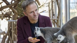 Der Wien-Krimi: Blind ermittelt - Tod im Tiergarten TV Fernsehen ARD Streamen online Mediathek Video on Demand DVD kaufen