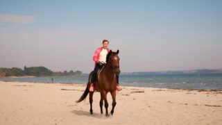 Dr. Nice Mein liebster Feind TV Fernsehen ZDF Streamen online Mediathek Video on Demand DVD kaufen