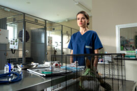 Inga Lindström: Herz über Kopf Tv Fernsehen ZDF Herzkino Streamen online Mediathek Video on Demand DVD kaufen