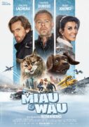 Miau und Wau Chien et chat