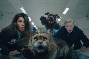 Miau und Wau Chien et chat