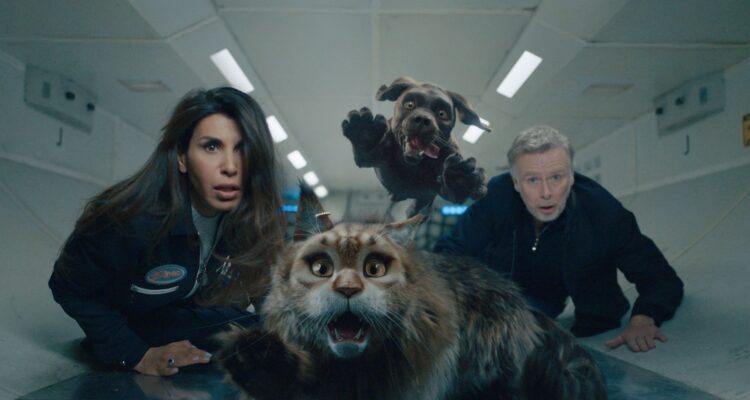 Miau und Wau Chien et chat