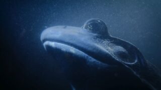 Nightmares of Nature Wilde Horrorgeschichten Staffel 1 Netflix Streamen online