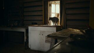 Nightmares of Nature Wilde Horrorgeschichten Staffel 1 Netflix Streamen online