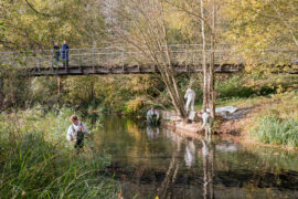 SOKO Leipzig Plankton Tv Fernsehen ZDF Streamen online Mediathek Video on Demand DVD kaufen