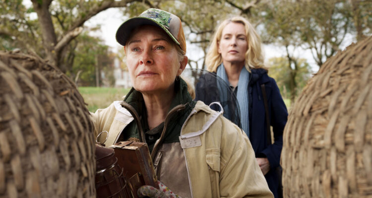 Tatort Letzte Ernte Vorschau Tv Fernsehen Das Erste ARD Streamen online Mediathek Video on Demand DVD kaufen