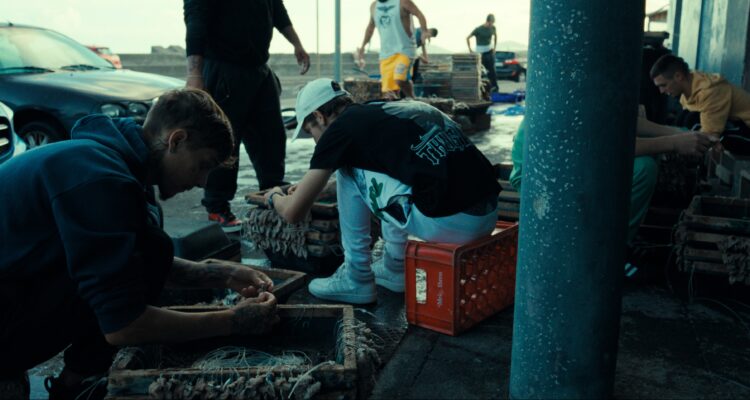 Weisses Meer Die surreale Story von Rabo de Peixe Netflix Streamen online Video on Demand