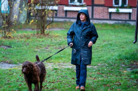 Wendepunkt - Der Usedom-Krimi Tv Fernsehen Das Erste ARD Streamen online Mediathek Video on Demand DVD kaufen