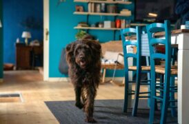 Wendepunkt - Der Usedom-Krimi Tv Fernsehen Das Erste ARD Streamen online Mediathek Video on Demand DVD kaufen