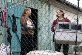 Der Staatsanwalt Fangschuss Tv Fernsehen ZDF Streamen online Mediathek Video on Demand DVD kaufen