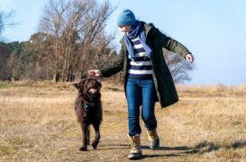 Sturmtief - Der Usedom-Krimi Tv Fernsehen Das Erste ARD Streamen online Mediathek Video on Demand DVD kaufen