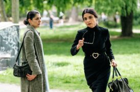 Die Füchsin - Das Rachespiel Tv Fernsehen Das Erste ARD Streamen online Mediathek Video on Demand DVD kaufen