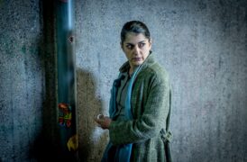 Die Füchsin - Das Rachespiel Tv Fernsehen Das Erste ARD Streamen online Mediathek Video on Demand DVD kaufen