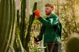 Die Heiland – Wir sind Anwalt Blind TV Fernsehen Das Erste ARD Streamen online Mediathek Video on Demand DVD kaufen