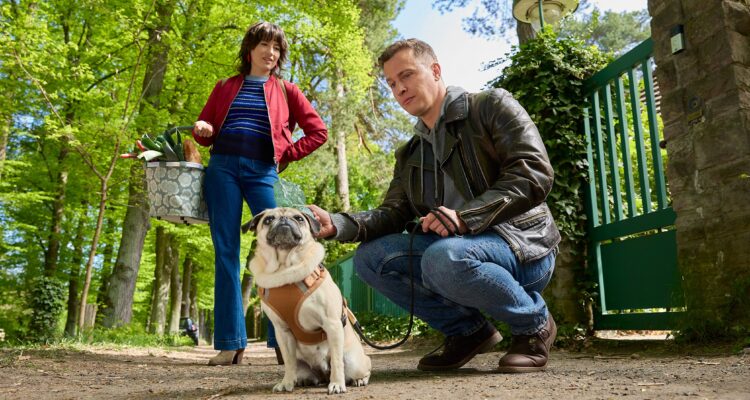 Die Heiland - Wir sind Anwalt Greifvogel unter Verdacht Tv Fernsehen ARD Streamen online Mediathek Video on Demand Das Erste DVD kaufen