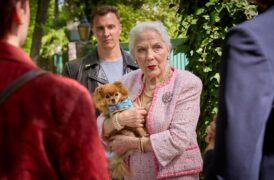 Die Heiland - Wir sind Anwalt Greifvogel unter Verdacht Tv Fernsehen ARD Streamen online Mediathek Video on Demand Das Erste DVD kaufen