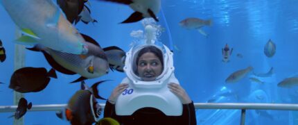 Groom and Two Brides Netflix Streamen online Video on Demand