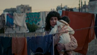 Im Schatten des Orangenbaums Allly baqi mink