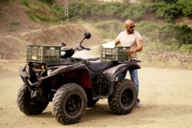 Mango Netflix Streamen online Video on Demand