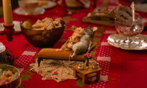 Mission: Mäusejagd – Chaos unterm Weihnachtsbaum Hvis ingen går I fella