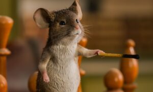 Mission: Mäusejagd – Chaos unterm Weihnachtsbaum Hvis ingen går I fella