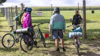 Schule am Meer - Küssen verboten Tv Fernsehen Das Erste ARD Streamen online Mediathek Video on Demand DVD kaufen