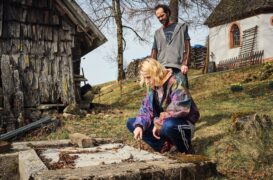 Tatort: Der Reini TV Fernsehen Das Erste ARD Streamen online Mediathek Video on Demand DVD kaufen