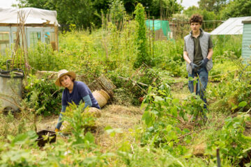 The Chelsea Detective: Tod im Kleingarten Deadlock TV Fernsehen ZDF Streamen online Mediathek Video on Demand DVD kaufen