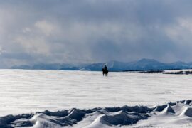 The Thicket – Jagd auf Cut Throat Bill