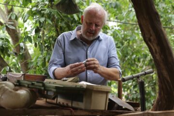 Verschollen TV Fernsehen Das Erste ARD Streamen online Mediathek Video on Demand DVD kaufen