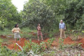 Verschollen TV Fernsehen Das Erste ARD Streamen online Mediathek Video on Demand DVD kaufen