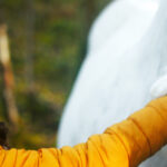 Das Geheimnis des Einhorns Tale of the Forest Unicorn