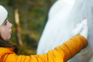 Das Geheimnis des Einhorns Tale of the Forest Unicorn