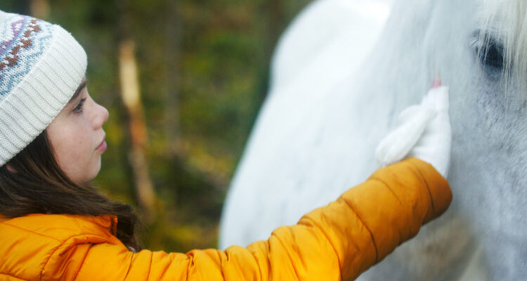 Das Geheimnis des Einhorns Tale of the Forest Unicorn