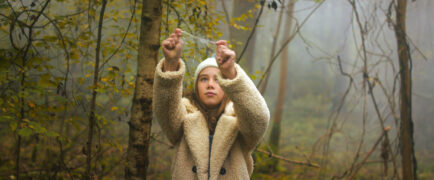 Das Geheimnis des Einhorns Tale of the Forest Unicorn