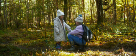 Das Geheimnis des Einhorns Tale of the Forest Unicorn