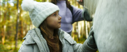 Das Geheimnis des Einhorns Tale of the Forest Unicorn