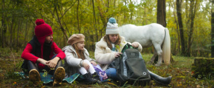 Das Geheimnis des Einhorns Tale of the Forest Unicorn