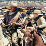 Die Cowboys TV Fernsehen arte Streamen online Mediathek Video on Demand DVD kaufen