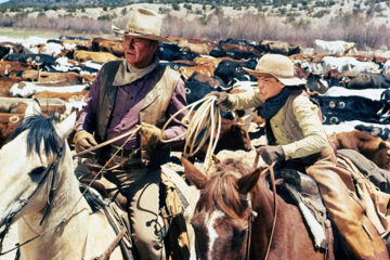 Die Cowboys TV Fernsehen arte Streamen online Mediathek Video on Demand DVD kaufen