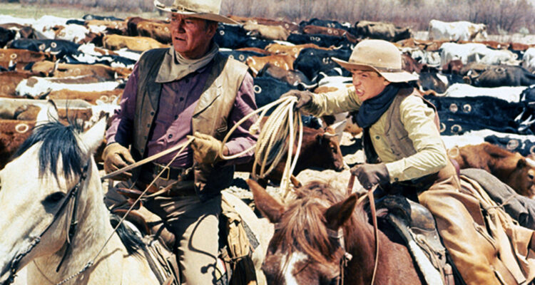 Die Cowboys TV Fernsehen arte Streamen online Mediathek Video on Demand DVD kaufen