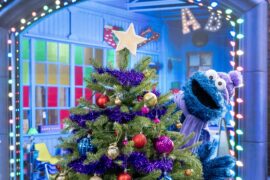 Frohe Schenknacht mit Elmo und Mark Rober Elmo and Mark Rober