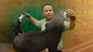 Für die Wildnis geboren Born to Be Wild Apple TV+ Streamen online Video on Demand