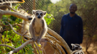 Für die Wildnis geboren Born to Be Wild Apple TV+ Streamen online Video on Demand