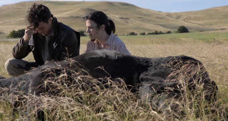 In Vitro – Das Klon-Experiment