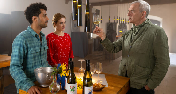 Inga Lindström: Minnas Traum Tv Fernsehen ZDF Streamen online Mediathek Video on Demand DVD kaufen Herzkino