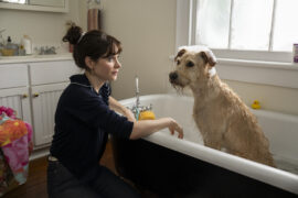 Merv Amazon Prime Video Streamen online Video on Demand