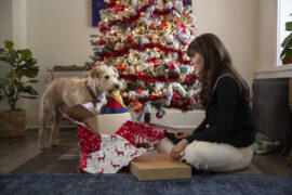 Merv Amazon Prime Video Streamen online Video on Demand