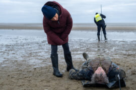 Nord Nord Mord - Sievers und die stillen Austern Tv Fernsehen ZDF Streamen online Mediathek Video on Demand DVD kaufen